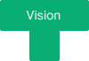 Vision