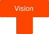 Vision